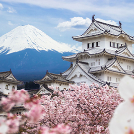 Japan Tours